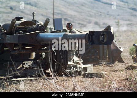Ein M198 155mm gezogener Howitzer von Bravo Battery, 1. Bataillon, 12. Marines, 3. Marine Regiment von Marine Corp Base Hawaii ist bereit für den Beginn der Feuerübung. Der M198 besteht aus Aluminium und Stahl und ist mit dem CH-53E-Hubschrauber und dem C-130 oder größeren Starrflügelflugzeugen lufttransportierbar. Die maximale effektive Reichweite mit konventioneller Munition beträgt 22.400 Meter (13,92 Meilen) und mit einem Raketenwerfer 30.000 Meter (18,64 Meilen). Basis: MCB, Hawaii Bundesstaat: Hawaii (HI) Land: Vereinigte Staaten von Amerika (USA) Stockfoto
