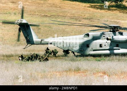 Mittlere Aufnahme von US-Marines aus dem 2. Bataillon, Fifth Marines Extrakt aus einem CH-53 Sea Hallion und nehmen während der Operation Sea Horse Wind in Fort Hunter Liggett in Jolon, Kalifornien, Sicherheitsmaßnahmen auf. Betreff Betrieb/Serie: SEEPFERDCHEN WINDBASIS: Fort Hunter Liggett Bundesstaat: Kalifornien (CA) Land: Vereinigte Staaten von Amerika (USA) Stockfoto