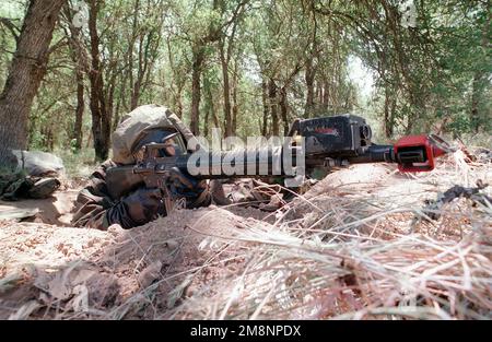 Ein US-Marine des zweiten Bataillons, Fifth Marines, Headquarters Company, nimmt während eines simulierten Angriffs auf nukleare biologische Chemie (NBC) in Mission-Oriented Protective Posiure Response Level 4 (MOPP-4)-Ausrüstung während der Übung Sea Horse Wind in Fort Hunter Liggett in Jolon, Kalifornien, eine Sicherheitsposition ein. Der M16A ist mit einem mehrfachen integrierten Laser Engagement System (MILES) am Gewehrlauf ausgestattet. Betreff Betrieb/Serie: SEEPFERDCHEN WINDBASIS: Fort Hunter Liggett Bundesstaat: Kalifornien (CA) Land: Vereinigte Staaten von Amerika (USA) Stockfoto