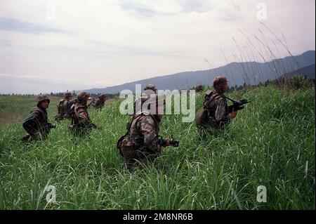 Marines bewaffnet mit M16 und tragen getarnte Ermüdungsstücke aus India Battery, 3. Bataillon, 12. Marines, 29 Palmen, Kalifornien, Patrouillieren Sie auf einem hohen Grasfeld am Fuße des Fuji. Basis: Berg Fuji Land: Japan (JPN) Stockfoto