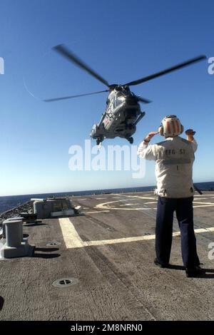 Karl Kubasa, MARINEOFFIZIER der US Navy Boatswain, leitet ein chilenisches Marineflugkommando ALS 532U2 Cougar MK II Helikopter, um an Bord der USS REUBEN JAMES (FFG 57) zu landen, während Trainingsübungen im Rahmen des TRAININGSTEAMS SOUTH '99 vor der Küste Chiles stattfinden. Betreff Operation/Serie: TEAMWORK SOUTH '99 Basis: USS Reuben James (FFG 57) Stockfoto