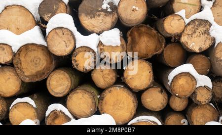 Ein Stapel gesägtes rundes Brennholz. Hintergrund von Baumstämmen Stockfoto