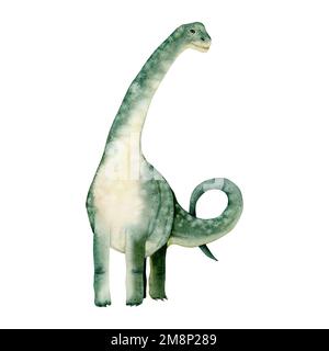 Aquarell-brachiosaurus-grüner Dinosaurier. Handgezeichnete Illustration eines urzeitlichen Tieres, isoliert auf weißem Hintergrund. Stockfoto