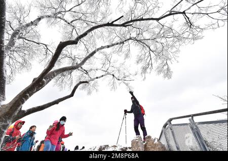 NANJING, CHINA - 15. JANUAR 2023 - Touristen genießen den Schnee am Zijin Mountain in Nanjing, Ostchina Provinz Jiangsu, 15. Januar 2023. Stockfoto