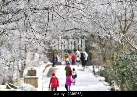 NANJING, CHINA - 15. JANUAR 2023 - Touristen genießen den Schnee am Zijin Mountain in Nanjing, Ostchina Provinz Jiangsu, 15. Januar 2023. Stockfoto