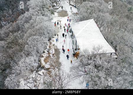 NANJING, CHINA - 15. JANUAR 2023 - Touristen genießen den Schnee am Zijin Mountain in Nanjing, Ostchina Provinz Jiangsu, 15. Januar 2023. Stockfoto