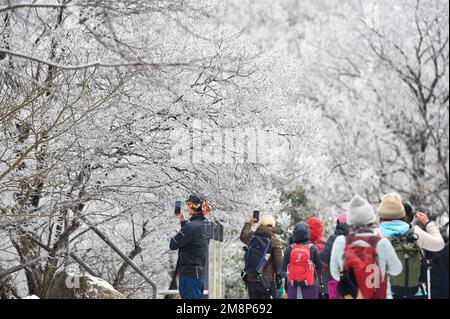 NANJING, CHINA - 15. JANUAR 2023 - Touristen genießen den Schnee am Zijin Mountain in Nanjing, Ostchina Provinz Jiangsu, 15. Januar 2023. Stockfoto