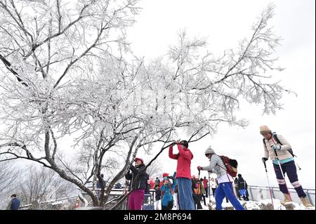 NANJING, CHINA - 15. JANUAR 2023 - Touristen genießen den Schnee am Zijin Mountain in Nanjing, Ostchina Provinz Jiangsu, 15. Januar 2023. Stockfoto