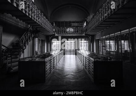 Paris, Frankreich - Mai 2022: Pariser Naturkundemuseum Fossilien aus der Galerie Paläontologie und vergleichende Anatomie Stockfoto