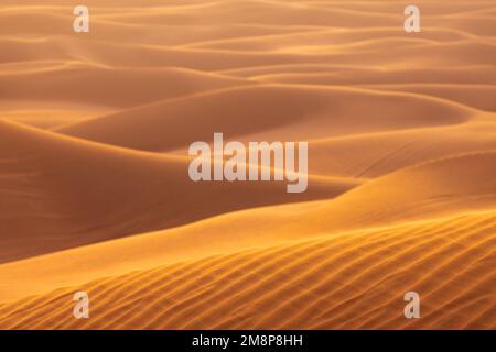 Das rote Deset außerhalb von Dubai, mit einer Düne im Vordergrund und einem Dünen, die sich bis zum Horizont im Hintergrund erstrecken Stockfoto