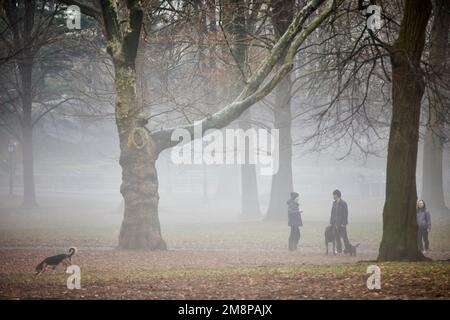 New York City Manhattan Hundefreunde im Central Park im morgendlichen Winternebel Stockfoto