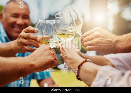 Unbekannte Gruppe von verschiedenen Freunden, die mit Weingläsern auf dem Weinberg anstoßen. Eine glückliche Gruppe von Personen, die sich zusammengesessen haben und sich während einer Weinprobe auf einem kennengelernt haben Stockfoto