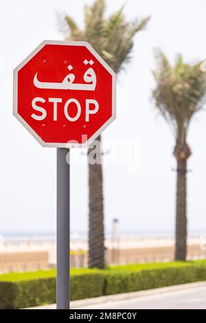 Nahaufnahme eines Straßenschildes, das sowohl in arabischer als auch in römischer Schrift geschrieben ist, vor einem unscharfen Hintergrund mit Palmen Stockfoto