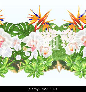 Tropische Grenze nahtloser Hintergrund tropische Blumen Blumenarrangements mit Strelitzia und weißer Orchidee Phalaenopsis philodendron und Schefflera Stock Vektor