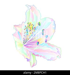 Rhododendron mehrfarbige helle Blüten Gebirgsstrauch auf weißem Hintergrund Vintage Illustration editierbare Handzeichnung Stock Vektor