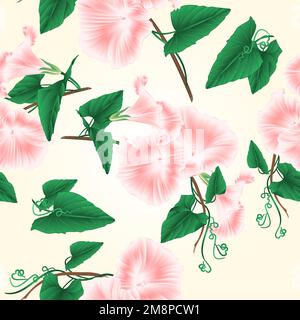 Nahtlos strukturierte Morgenblumen in Pink Frühlingsblumen auf weißem Hintergrund Vintage-Vektor-Illustration editierbares Handzeichnen Stock Vektor