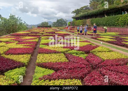 FUNCHAL, PORTUGAL - 24. AUGUST 2021: Dies ist ein Blumenteppich im choreographischen Garten des Botanischen Gartens. Stockfoto