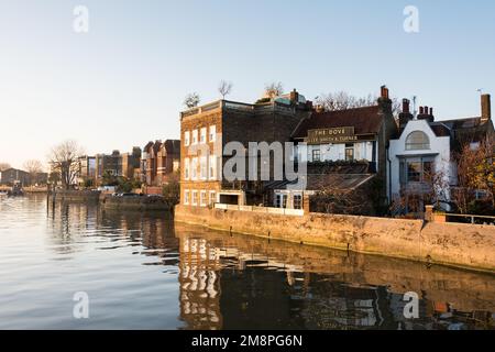 Das Dove Public House neben der Themse in Hammersmith, West London, England, Großbritannien Stockfoto