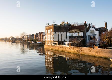 Das Dove Public House neben der Themse in Hammersmith, West London, England, Großbritannien Stockfoto