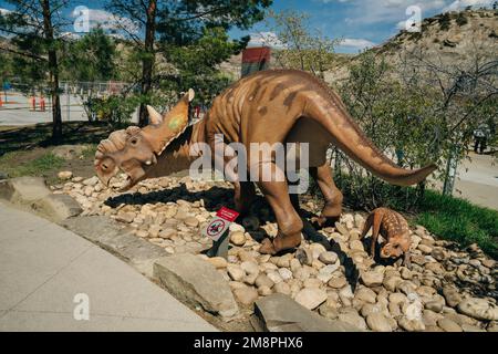 DRUMHELLER, ALBERTA - Mai, 2022 -Triceratops Vorbereitung, sich zu verteidigen, Royal Tyrrell Museum. Hochwertige Fotos Stockfoto