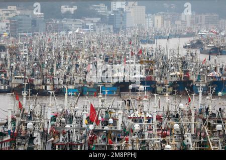 ZHOUSHAN, CHINA - 15. JANUAR 2023 - Eine große Anzahl von Fischerbooten ist in einem Luftangeln Hafen festgemacht, um die kalte Welle in der Stadt Zhoushan, EAS, zu vermeiden Stockfoto