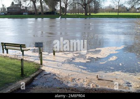 Datchet, Berkshire, Großbritannien. 15. Januar 2023. Brauner Schaum von scheinbar Abwasser auf der Themse. Auf einer interaktiven Karte von Thames Water ist zu sehen, dass Abwasser in die Themse im nahe gelegenen Windsor gelangt ist. Umweltschutzgruppen fordern die Regierung auf, Direktoren umweltverschmutzender Wasserunternehmen wegen fortgesetzter Abwasseremissionen in die Wasserstraßen des Vereinigten Königreichs zu inhaftieren. Kredit: Maureen McLean/Alamy Live News Stockfoto