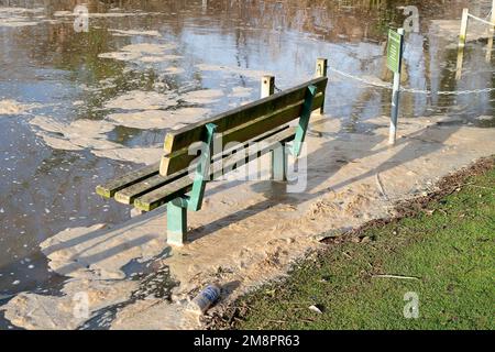 Datchet, Berkshire, Großbritannien. 15. Januar 2023. Brauner Schaum von scheinbar Abwasser auf der Themse. Auf einer interaktiven Karte von Thames Water ist zu sehen, dass Abwasser in die Themse im nahe gelegenen Windsor gelangt ist. Umweltschutzgruppen fordern die Regierung auf, Direktoren umweltverschmutzender Wasserunternehmen wegen fortgesetzter Abwasseremissionen in die Wasserstraßen des Vereinigten Königreichs zu inhaftieren. Kredit: Maureen McLean/Alamy Live News Stockfoto