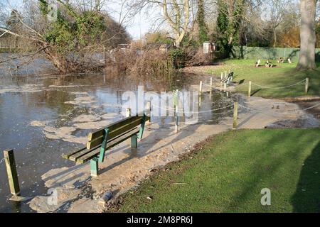 Datchet, Berkshire, Großbritannien. 15. Januar 2023. Brauner Schaum von scheinbar Abwasser auf der Themse. Auf einer interaktiven Karte von Thames Water ist zu sehen, dass Abwasser in die Themse im nahe gelegenen Windsor gelangt ist. Umweltschutzgruppen fordern die Regierung auf, Direktoren umweltverschmutzender Wasserunternehmen wegen fortgesetzter Abwasseremissionen in die Wasserstraßen des Vereinigten Königreichs zu inhaftieren. Kredit: Maureen McLean/Alamy Live News Stockfoto