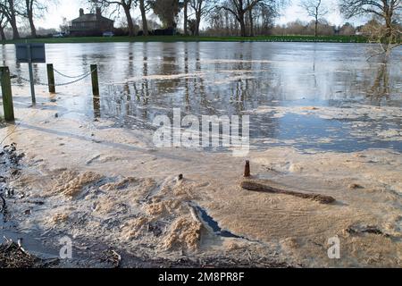 Datchet, Berkshire, Großbritannien. 15. Januar 2023. Brauner Schaum von scheinbar Abwasser auf der Themse. Auf einer interaktiven Karte von Thames Water ist zu sehen, dass Abwasser in die Themse im nahe gelegenen Windsor gelangt ist. Umweltschutzgruppen fordern die Regierung auf, Direktoren umweltverschmutzender Wasserunternehmen wegen fortgesetzter Abwasseremissionen in die Wasserstraßen des Vereinigten Königreichs zu inhaftieren. Kredit: Maureen McLean/Alamy Live News Stockfoto