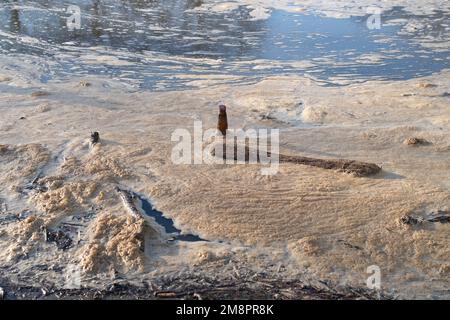 Datchet, Berkshire, Großbritannien. 15. Januar 2023. Brauner Schaum von scheinbar Abwasser auf der Themse. Auf einer interaktiven Karte von Thames Water ist zu sehen, dass Abwasser in die Themse im nahe gelegenen Windsor gelangt ist. Umweltschutzgruppen fordern die Regierung auf, Direktoren umweltverschmutzender Wasserunternehmen wegen fortgesetzter Abwasseremissionen in die Wasserstraßen des Vereinigten Königreichs zu inhaftieren. Kredit: Maureen McLean/Alamy Live News Stockfoto