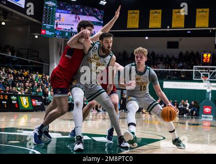 Januar 14 2023 Moraga CA, USA San Francisco Forward Zane Meeks (15) geht beim NCAA Männer Basketballspiel zwischen den San Francisco Dons und den Saint Mary's Gaels in den Korb. Saint Mary's besiegte San Francisco 78-61 im war Memorial Gym San Francisco Calif Thurman James/CSM Kredit: CAL Sport Media/Alamy Live News Stockfoto