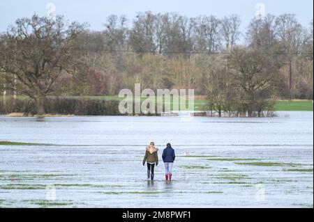 Upton Upon Severn, Worcestershire, 15. Januar 2023 – die Stadt Upton-upon-Severn ist fast abgeschnitten, mit nur einer Straße in und einer Straße, nachdem der Fluss Severn begonnen hatte, über erhöhte Flussufer zu fließen und die umliegenden Felder zu überschwemmen. Eine Tankstelle und ein lokaler Morrisons Supermarkt waren zu einer Insel aus der Flut geworden. Zwei Spaziergänger wurden auf einem Bauernfeld gesehen, wie sie ihren Weg durch flaches Wasser machten, während sie mit ihrem Hund gingen. Quelle: Stop Press Media/Alamy Live News Stockfoto