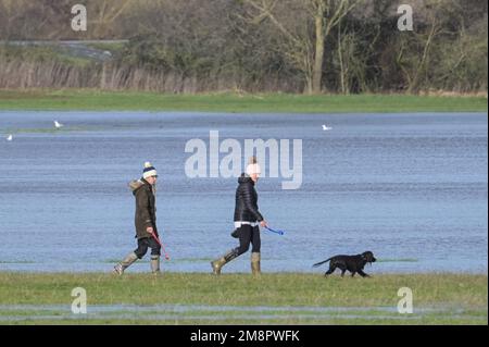 Upton Upon Severn, Worcestershire, 15. Januar 2023 – die Stadt Upton-upon-Severn ist fast abgeschnitten, mit nur einer Straße in und einer Straße, nachdem der Fluss Severn begonnen hatte, über erhöhte Flussufer zu fließen und die umliegenden Felder zu überschwemmen. Eine Tankstelle und ein lokaler Morrisons Supermarkt waren zu einer Insel aus der Flut geworden. Zwei Spaziergänger wurden auf einem Bauernfeld gesehen, wie sie ihren Weg durch flaches Wasser machten, während sie mit ihrem Hund gingen. Quelle: Stop Press Media/Alamy Live News Stockfoto