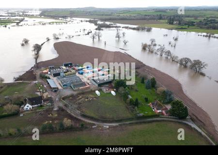 Upton Upon Severn, Worcestershire, 15. Januar 2023 – die Stadt Upton-upon-Severn ist fast abgeschnitten, mit nur einer Straße in und einer Straße, nachdem der Fluss Severn begonnen hatte, über erhöhte Flussufer zu fließen und die umliegenden Felder zu überschwemmen. Eine Tankstelle und ein lokaler Morrisons Supermarkt waren zu einer Insel aus der Flut geworden. Zwei Spaziergänger wurden auf einem Bauernfeld gesehen, wie sie ihren Weg durch flaches Wasser machten, während sie mit ihrem Hund gingen. Quelle: Stop Press Media/Alamy Live News Stockfoto