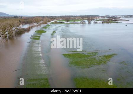 Upton Upon Severn, Worcestershire, 15. Januar 2023 – die Stadt Upton-upon-Severn ist fast abgeschnitten, mit nur einer Straße in und einer Straße, nachdem der Fluss Severn begonnen hatte, über erhöhte Flussufer zu fließen und die umliegenden Felder zu überschwemmen. Eine Tankstelle und ein lokaler Morrisons Supermarkt waren zu einer Insel aus der Flut geworden. Zwei Spaziergänger wurden auf einem Bauernfeld gesehen, wie sie ihren Weg durch flaches Wasser machten, während sie mit ihrem Hund gingen. Quelle: Stop Press Media/Alamy Live News Stockfoto