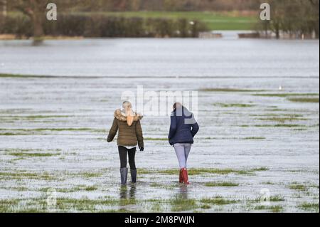 Upton Upon Severn, Worcestershire, 15. Januar 2023 – die Stadt Upton-upon-Severn ist fast abgeschnitten, mit nur einer Straße in und einer Straße, nachdem der Fluss Severn begonnen hatte, über erhöhte Flussufer zu fließen und die umliegenden Felder zu überschwemmen. Eine Tankstelle und ein lokaler Morrisons Supermarkt waren zu einer Insel aus der Flut geworden. Zwei Spaziergänger wurden auf einem Bauernfeld gesehen, wie sie ihren Weg durch flaches Wasser machten, während sie mit ihrem Hund gingen. Quelle: Stop Press Media/Alamy Live News Stockfoto