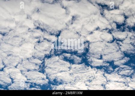 Altocumulus Wolke - weiße Wolken am blauen Himmel Stockfoto