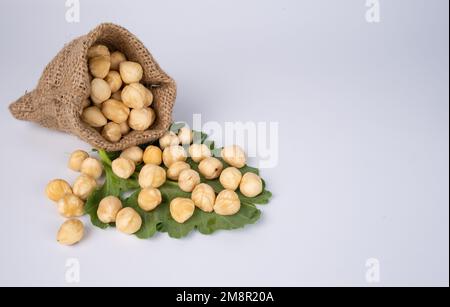 Nüsse im Sack auf weißem Hintergrund. Haselnüsse verschütten sich auf weißem Hintergrund und Grünblatt. Kopierbereich, Leer. Stockfoto