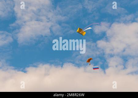 Zwei Fallschirmspringer fliegen mit Fallschirm gegen den blauen Himmel - Extremsportkonzept Stockfoto