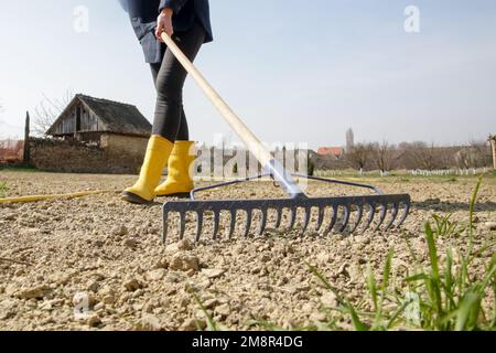 Der Landwirt verwendet einen Rechen, um eine feine obere Bodenschicht zu schaffen. Gras Pflanzen. Aussaat und Anbau eines Rasens. Eine Reihe von Fotos. Stockfoto