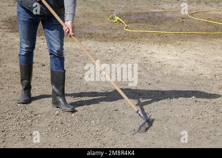 Der Landwirt verwendet einen Rechen, um eine feine obere Bodenschicht zu schaffen. Gras Pflanzen. Aussaat und Anbau eines Rasens. Eine Reihe von Fotos. Stockfoto