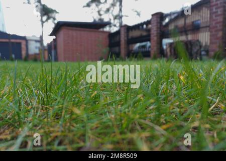 Grüngras in Vorstadtgegenden Stockfoto