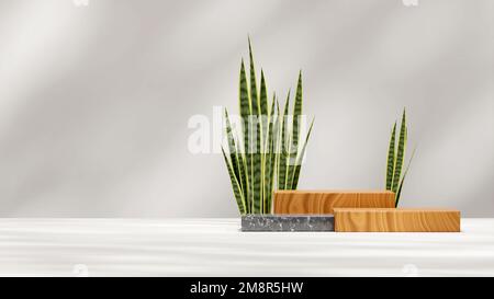 Ein Holz- und Marmorpodium, das 3D-Modell mit Schlangenpflanze und schattenweißer Wand darstellt Stockfoto
