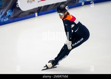 DANZIG, POLEN - 15. JANUAR: Jens van 't Wout aus den Niederlanden, nachdem er während der ISU-Europameisterschaft auf der Halla Victoria am 15. Januar 2023 in Danzig, Polen, an den Finalen des 1000m. Quartals der Männer teilgenommen hat (Foto: Andre Weening/Orange Pictures) Stockfoto