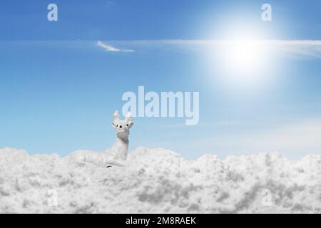Weißes Reh im Schnee. Die Figur eines Reh im Winter. Winterlandschaft mit Hirschen. Postkarten-Winter. Schnee, Winterhimmel. Stockfoto
