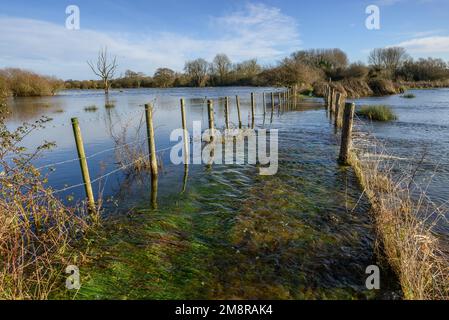 Fordingbridge, Hampshire, Großbritannien, 15. Januar 2023, Wetter: Sonnenschein über überfluteten tief liegenden Gebieten. Hochwasserwarnungen decken die Bereiche in der Nähe des Flusses Avon ab, wo viele Fußwege durch Überschwemmungen unpassierbar geworden sind. Kredit: Paul Biggins/Alamy Live News Stockfoto