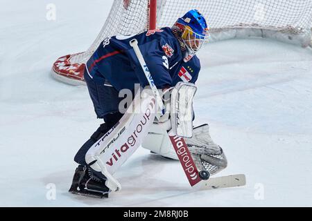 2022/23 DEL | RB München gegen Schwenninger Wild Wings. NIEDERBERGER Mathias (RB München RBM35) Stockfoto