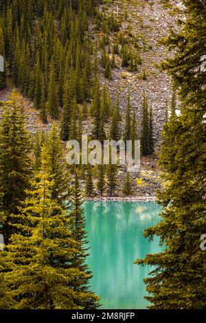 Ruhiger türkisfarbener See, umgeben von Wäldern und Bergen, im Frühling, in British Columbia, Kanada Stockfoto