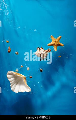 Verschiedene Muscheln, Seesterne und Steine im hellblauen Ozeanwasser mit Wellen und Blasen Stockfoto