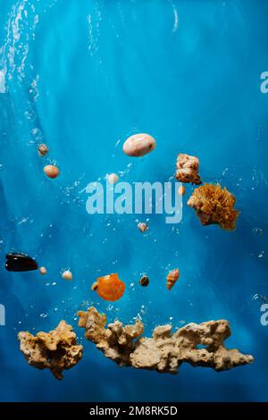 Verschiedene Muscheln, Riff und Steine im hellblauen Ozeanwasser mit Wellen und Blasen Stockfoto